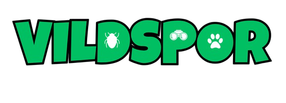 Vildspor Projekt